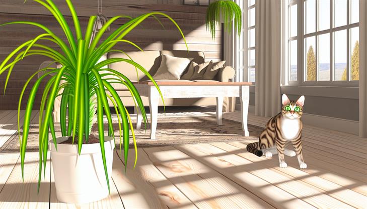 Are Spider Plants Toxic to Cats? A Complete Guide